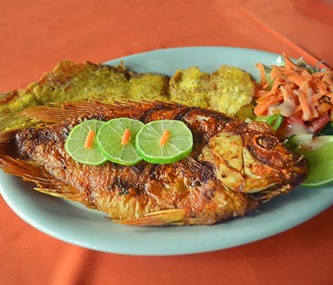 Tilapia Roja Frita