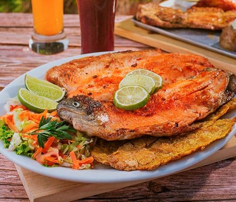Trucha Arcoíris a la Plancha